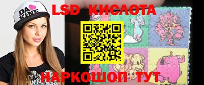ECSTASY Новозыбков