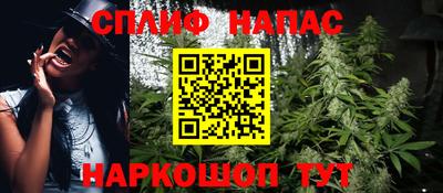 ECSTASY Новозыбков