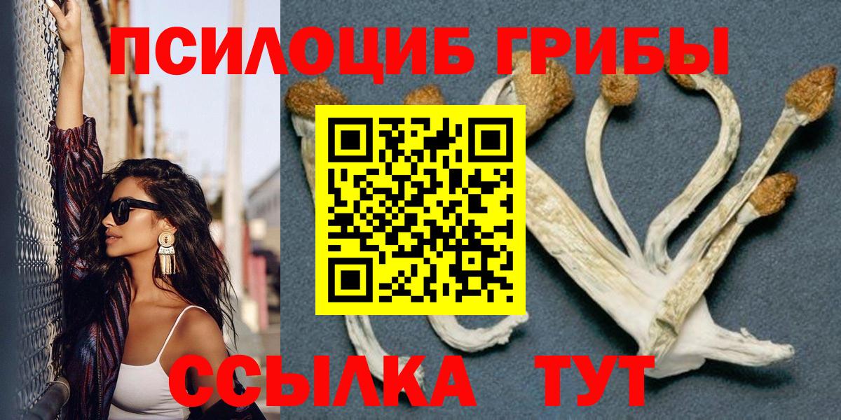 Шали  где можно купить   Вход с VPN  Галлюциногенные грибы MAGIC MUSHROOMS  Галлюциногенные грибы Psilocybine cubensis 
